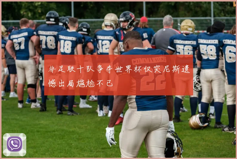 非足联十队争夺世界杯仅突尼斯遗憾出局尴尬不已